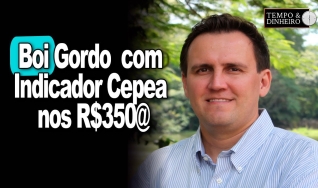 Thiago Bernardino
