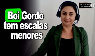 Shirley Menezes