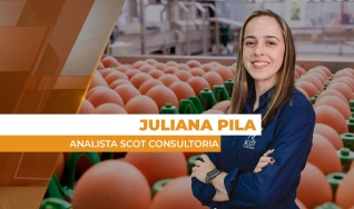 Juliana Pila - Analista Scot Consultoria