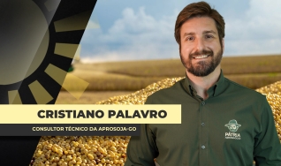 Cristiano Palavro Consultor Técnico da Aprosoja-GO