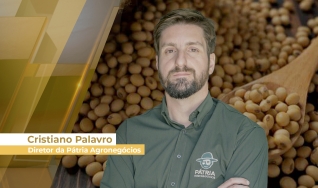 Cristiano Palavro - Diretor da Pátria Agronegócios