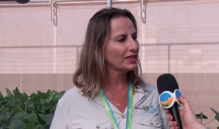 Paula Antunes - Líder da unidade de Pesquisa e Desenvolvimento da Bayer em Santa Cruz das Palmeiras (SP)