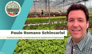 Paulo Romano Schincariol