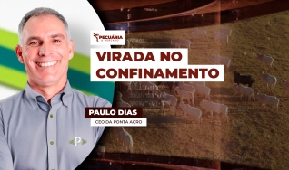 Paulo Dias - CEO da Ponta Agro