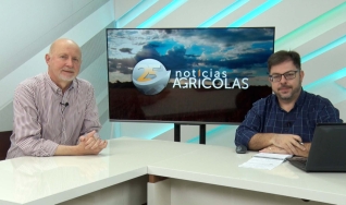 Paulo Herrmann - Consultor