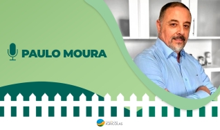 Conversa de Cerca - Com Carla Mendes