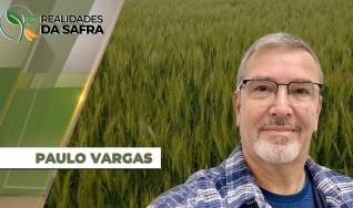 Paulo Vargas - Vice-Presidente do Sindicato Rural de Carazinho/RS