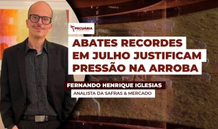 Fernando Henrique Iglesias - Analista da Safras & Mercado