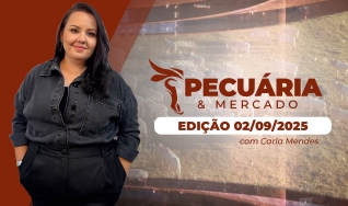 Pecuária e Mercado - Programa Completo