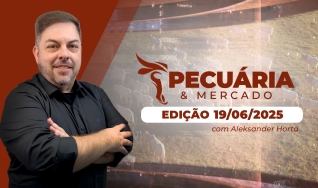 Pecuária e Mercado