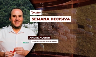 André Aguiar - Sócio e Consultor da Boviplan