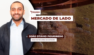 João Otávio Figueiredo - Head de Pecuária da DATAGRO