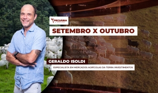 Geraldo Isoldi - Especialista em Mercados Agrícolas da Terra Investimentos