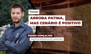 Pedro Gonçalves - Analista de Mercado da Scot Consultoria