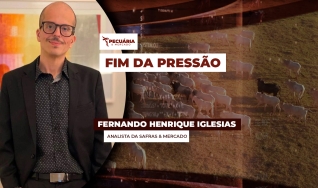Fernando Henrique Iglesias - Analista da Safras & Mercado