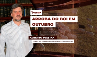 Alberto Pessina - Consultor de mercado e fundador da AgroMove