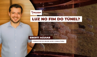 Eberti Aguiar - Consultor da Hegde Agro Consultoria