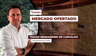 Thiago Bernardino de Carvalho - Pesquisador do Cepea