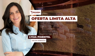 Lygia Pimentel - CEO da Agrifatto