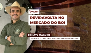 Ronaty Makuko - Eng. Agrôn. e Consultor de Mercardo da Pátria Agronegócios