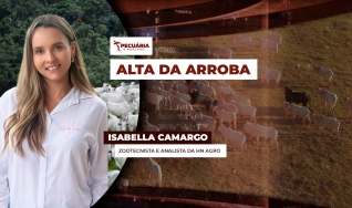 Isabella Camargo - Zootecnista e analista da HN Agro