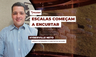 Hyberville Neto - Médico veterinário e Diretor da HN AGRO