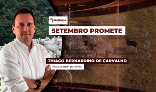Thiago Bernardino de Carvalho - Pesquisador do Cepea