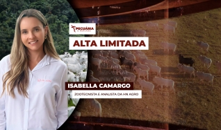 Isabella Camargo - Zootecnista e analista da HN Agro