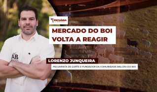 Lorenzo Junqueira - Pecuarista de corte e fundador da comunidade Balcão do Boi