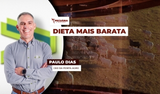 Paulo Dias - CEO da Ponta Agro