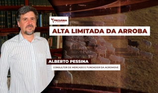 Alberto Pessina - Consultor de mercado e fundador da AgroMove
