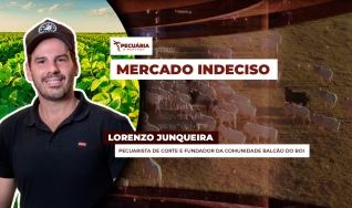 Lorenzo Junqueira - Pecuarista de corte e fundador da comunidade Balcão do Boi
