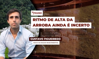 Gustavo Figueiredo - Sócio da Radar Investimentos