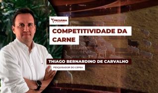 Thiago Bernardino de Carvalho - Pesquisador do Cepea