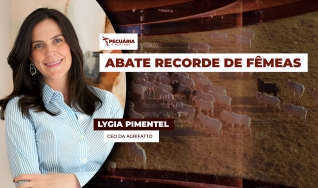Lygia Pimentel - CEO da Agrifatto