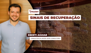 Eberti Aguiar - Consultor da Hegde Agro Consultoria
