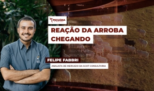 Felipe Fabbri - Analista de Mercado da Scot Consultoria