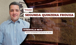 Hyberville Neto - Médico veterinário e Diretor da HN AGRO