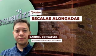 Gabriel Gonsalves - Sócio e Co-Fundador da Pecuarizze