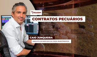 Caio Junqueira - Analista de Mercado da Cross Investimentos