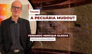 Fernando Henrique Iglesias - Analista da Safras & Mercado