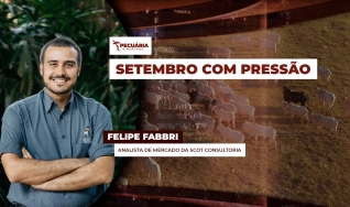 Felipe Fabbri - Analista de Mercado da Scot Consultoria
