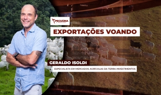 Geraldo Isoldi - Especialista em Mercados Agrícolas da Terra Investimentos