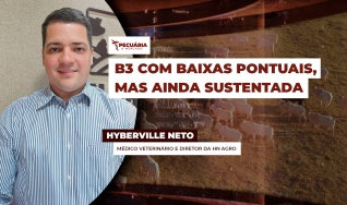 Hyberville Neto - Médico veterinário e Diretor da HN AGRO