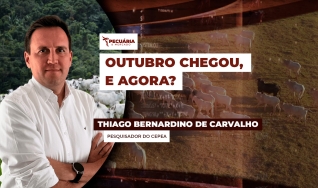 Thiago Bernardino de Carvalho - Pesquisador do Cepea