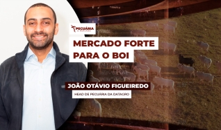 João Otávio Figueiredo - Head de Pecuária da DATAGRO