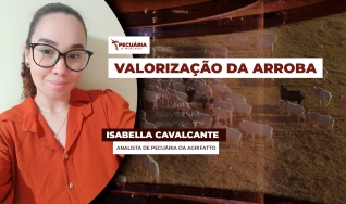 Isabella Cavalcante - Analista de Pecuária da Agrifatto