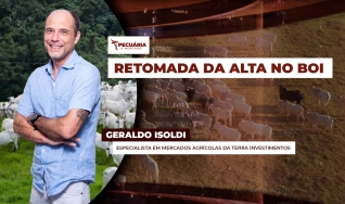Geraldo Isoldi - Especialista em Mercados Agrícolas da Terra Investimentos