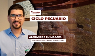 Alexandre Guimarães - Superintendente da Novilho Precoce MS