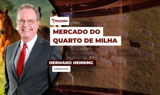 Hermano Henning - Jornalista
